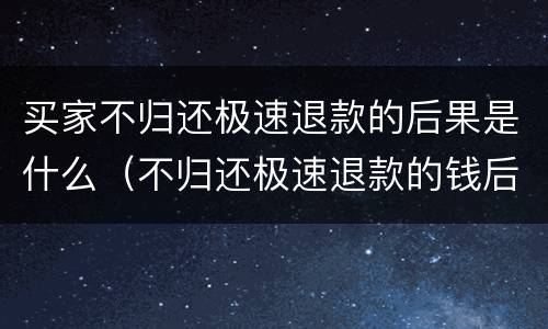 买家不归还极速退款的后果是什么（不归还极速退款的钱后果是什么）
