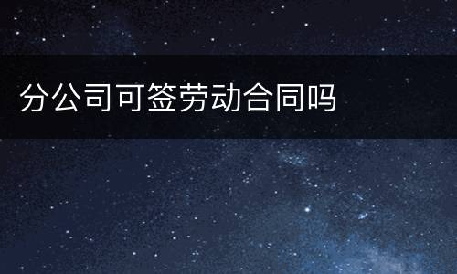 分公司可签劳动合同吗