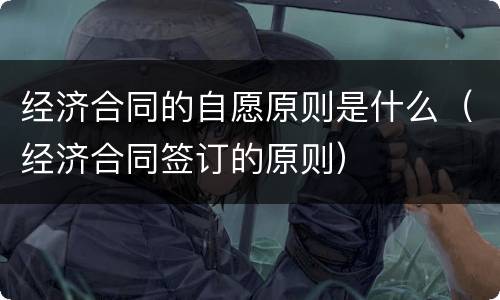 经济合同的自愿原则是什么（经济合同签订的原则）