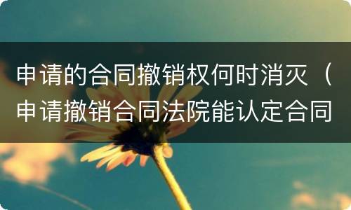 申请的合同撤销权何时消灭（申请撤销合同法院能认定合同无效吗）