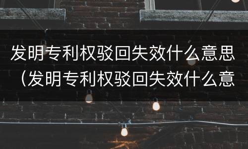 发明专利权驳回失效什么意思（发明专利权驳回失效什么意思呀）