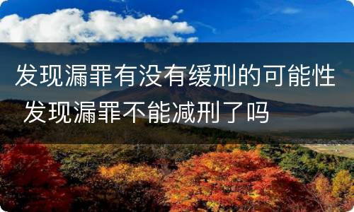 发现漏罪有没有缓刑的可能性 发现漏罪不能减刑了吗