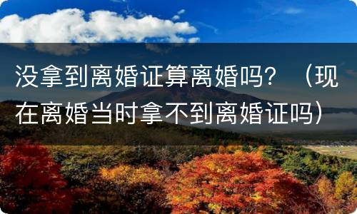 没拿到离婚证算离婚吗？（现在离婚当时拿不到离婚证吗）