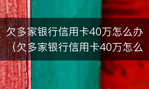 欠多家银行信用卡40万怎么办（欠多家银行信用卡40万怎么办理）