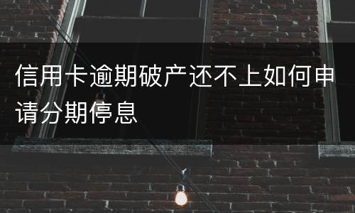 信用卡逾期破产还不上如何申请分期停息