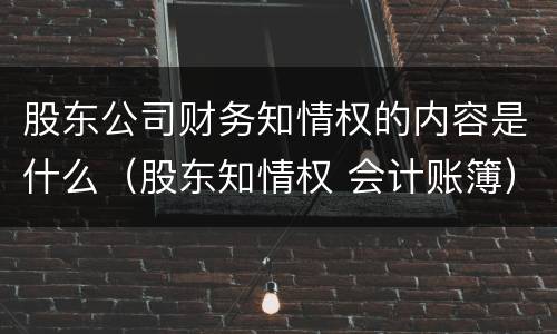 股东公司财务知情权的内容是什么（股东知情权 会计账簿）