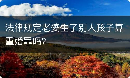 法律规定老婆生了别人孩子算重婚罪吗？