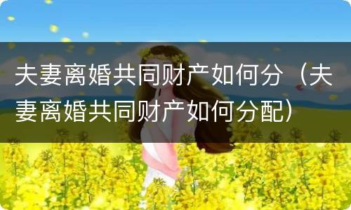 夫妻离婚共同财产如何分（夫妻离婚共同财产如何分配）