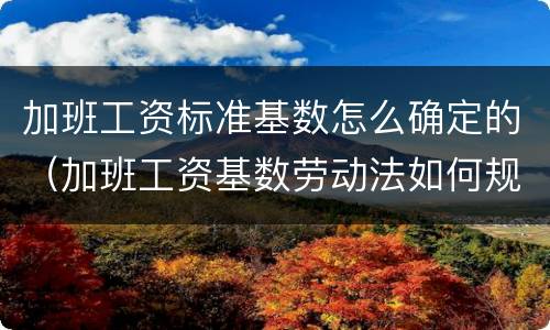 加班工资标准基数怎么确定的（加班工资基数劳动法如何规定）