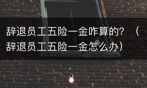 辞退员工五险一金咋算的？（辞退员工五险一金怎么办）