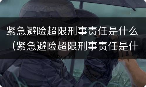 紧急避险超限刑事责任是什么（紧急避险超限刑事责任是什么意思）