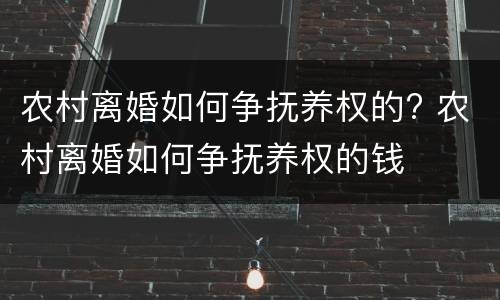 农村离婚如何争抚养权的? 农村离婚如何争抚养权的钱
