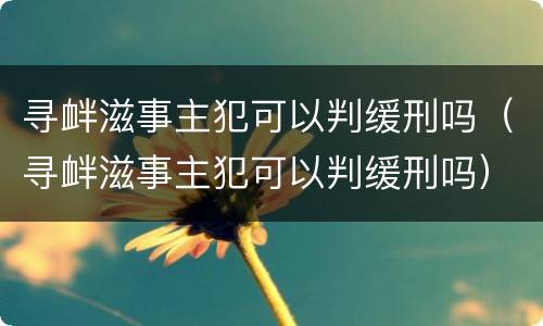 寻衅滋事主犯可以判缓刑吗（寻衅滋事主犯可以判缓刑吗）