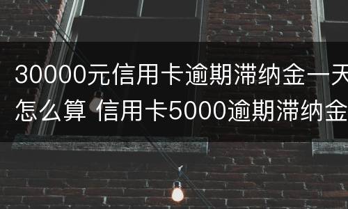 30000元信用卡逾期滞纳金一天怎么算 信用卡5000逾期滞纳金