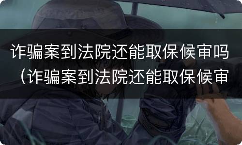 诈骗案到法院还能取保候审吗（诈骗案到法院还能取保候审吗知乎）