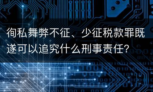 徇私舞弊不征、少征税款罪既遂可以追究什么刑事责任？