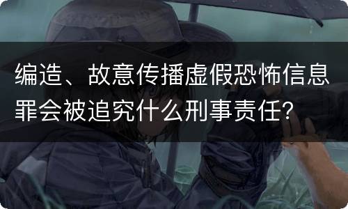 编造、故意传播虚假恐怖信息罪会被追究什么刑事责任？