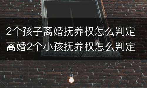 2个孩子离婚抚养权怎么判定 离婚2个小孩抚养权怎么判定