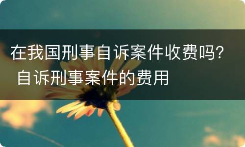 在我国刑事自诉案件收费吗？ 自诉刑事案件的费用