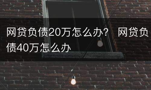 网贷负债20万怎么办？ 网贷负债40万怎么办