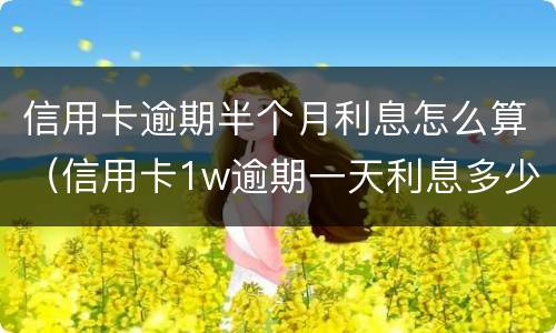 信用卡逾期半个月利息怎么算（信用卡1w逾期一天利息多少）