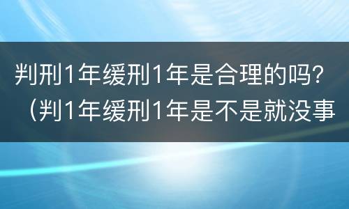 判刑1年缓刑1年是合理的吗？（判1年缓刑1年是不是就没事）