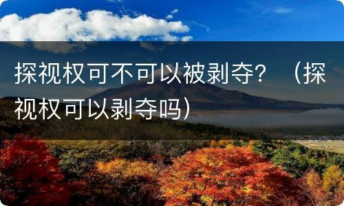 探视权可不可以被剥夺？（探视权可以剥夺吗）