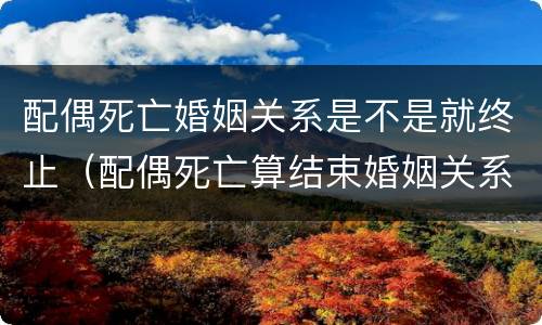 配偶死亡婚姻关系是不是就终止（配偶死亡算结束婚姻关系吗）