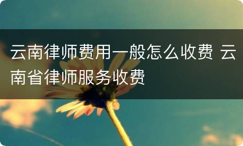 云南律师费用一般怎么收费 云南省律师服务收费