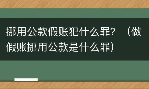 挪用公款假账犯什么罪？（做假账挪用公款是什么罪）