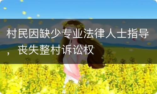 村民因缺少专业法律人士指导，丧失整村诉讼权