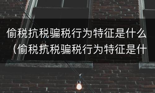 偷税抗税骗税行为特征是什么（偷税抗税骗税行为特征是什么）