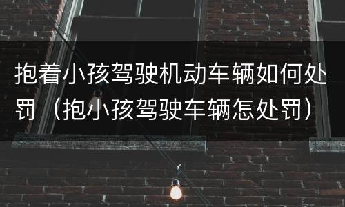 抱着小孩驾驶机动车辆如何处罚（抱小孩驾驶车辆怎处罚）