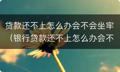 贷款还不上怎么办会不会坐牢（银行贷款还不上怎么办会不会坐牢）