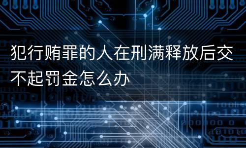 犯行贿罪的人在刑满释放后交不起罚金怎么办
