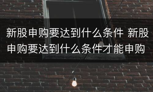 新股申购要达到什么条件 新股申购要达到什么条件才能申购