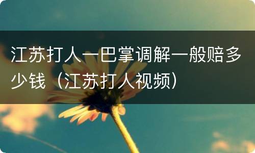 江苏打人一巴掌调解一般赔多少钱（江苏打人视频）