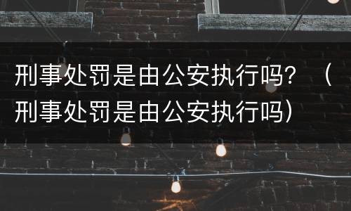 刑事处罚是由公安执行吗？（刑事处罚是由公安执行吗）