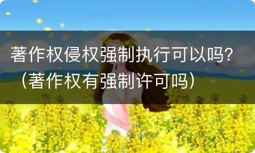 著作权侵权强制执行可以吗？（著作权有强制许可吗）