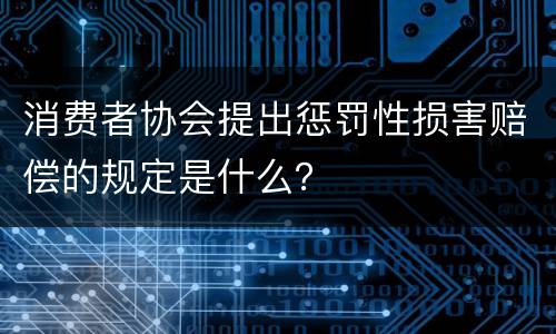 消费者协会提出惩罚性损害赔偿的规定是什么？