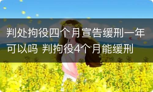 判处拘役四个月宣告缓刑一年可以吗 判拘役4个月能缓刑
