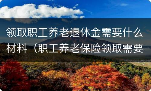 领取职工养老退休金需要什么材料（职工养老保险领取需要什么手续）