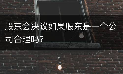 股东会决议如果股东是一个公司合理吗？