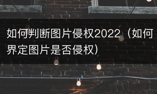 如何判断图片侵权2022（如何界定图片是否侵权）