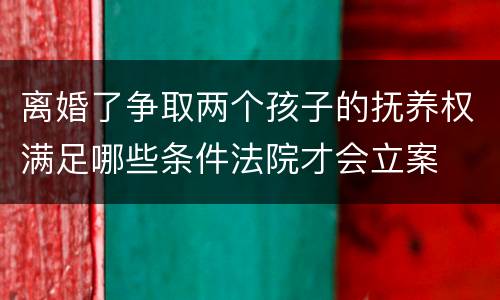 离婚了争取两个孩子的抚养权满足哪些条件法院才会立案