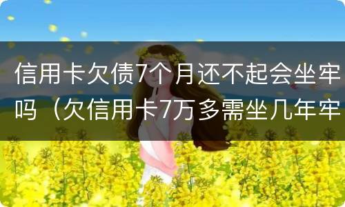 信用卡欠债7个月还不起会坐牢吗（欠信用卡7万多需坐几年牢）