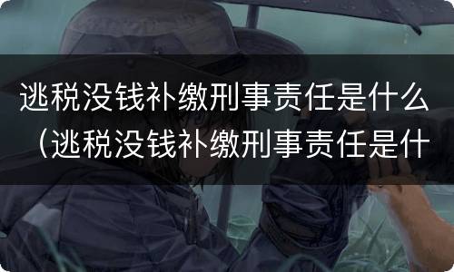 逃税没钱补缴刑事责任是什么（逃税没钱补缴刑事责任是什么罪）