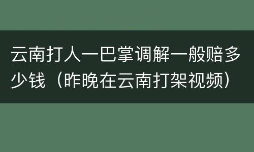 云南打人一巴掌调解一般赔多少钱（昨晚在云南打架视频）