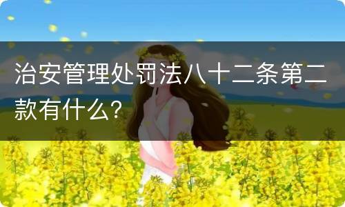 治安管理处罚法八十二条第二款有什么？