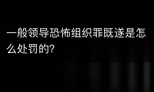 一般领导恐怖组织罪既遂是怎么处罚的？